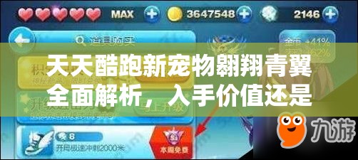 天天酷跑新宠物翱翔青翼全面解析，入手价值还是持币观望？