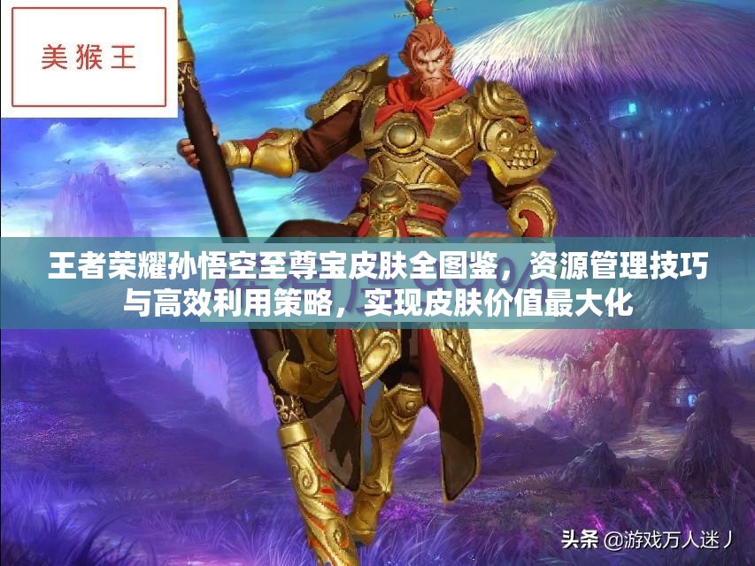 王者荣耀孙悟空至尊宝皮肤全图鉴，资源管理技巧与高效利用策略，实现皮肤价值最大化