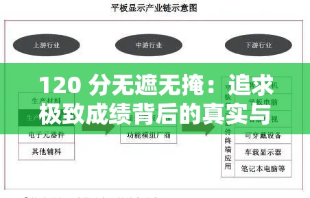 120 分无遮无掩：追求极致成绩背后的真实与挑战