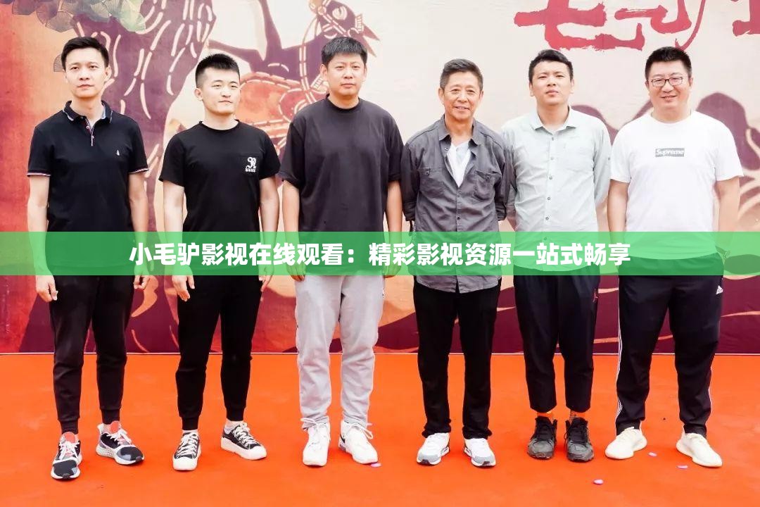 小毛驴影视在线观看：精彩影视资源一站式畅享