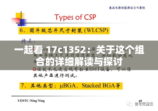 一起看 17c1352：关于这个组合的详细解读与探讨