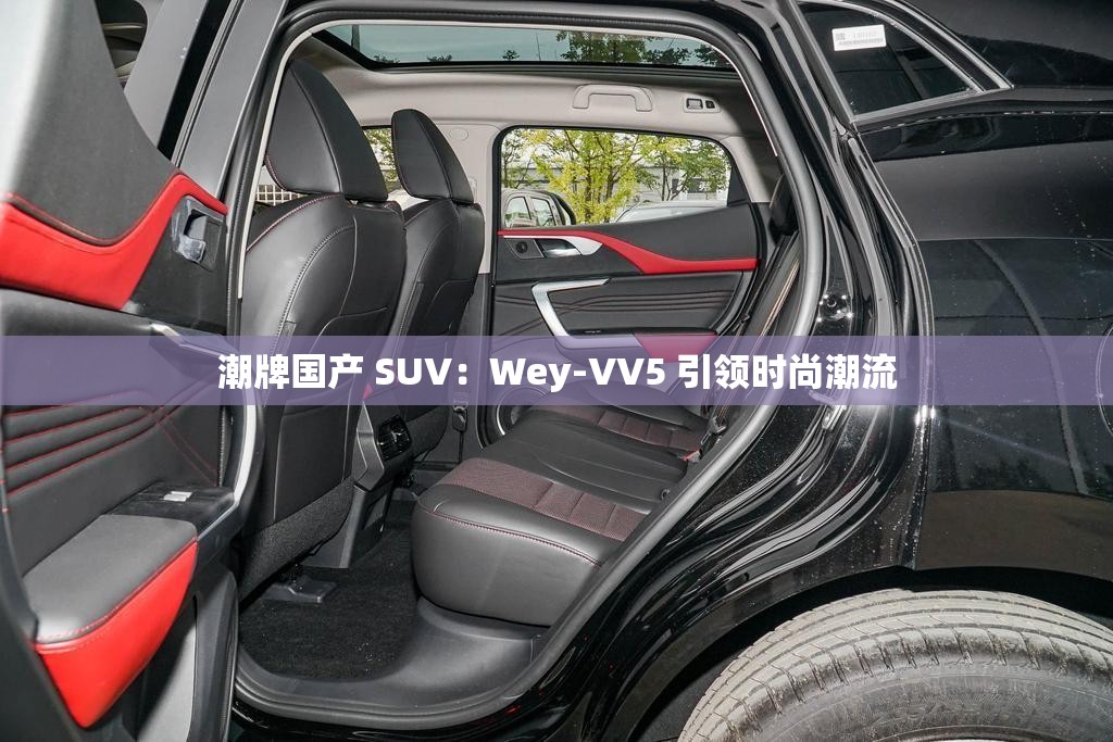 潮牌国产 SUV：Wey-VV5 引领时尚潮流