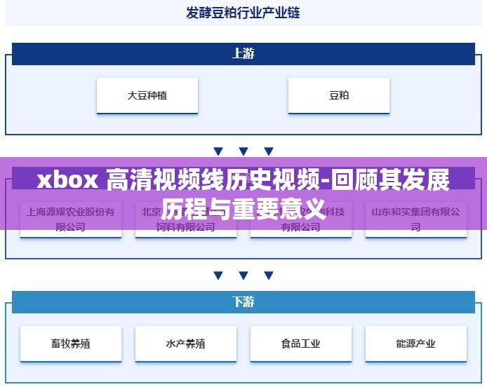 xbox 高清视频线历史视频-回顾其发展历程与重要意义