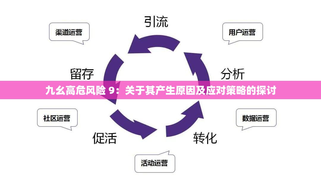 九幺高危风险 9：关于其产生原因及应对策略的探讨