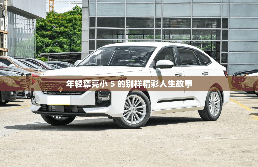 年轻漂亮小 5 的别样精彩人生故事