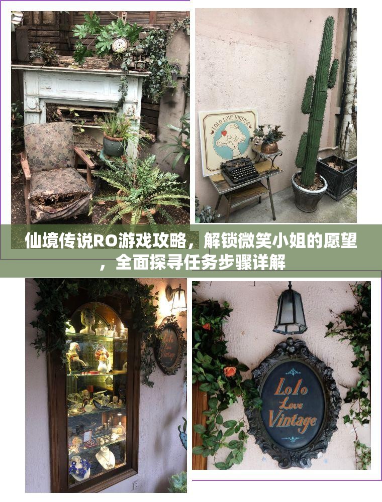 仙境传说RO游戏攻略，解锁微笑小姐的愿望，全面探寻任务步骤详解