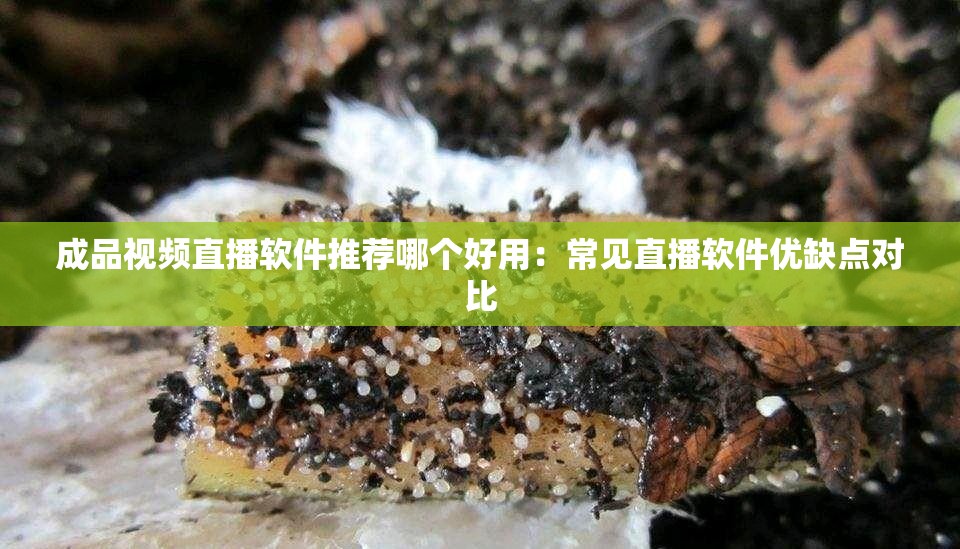 成品视频直播软件推荐哪个好用：常见直播软件优缺点对比