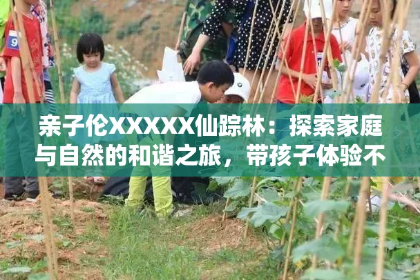 亲子伦XXXXX仙踪林：探索家庭与自然的和谐之旅，带孩子体验不一样的森林冒险