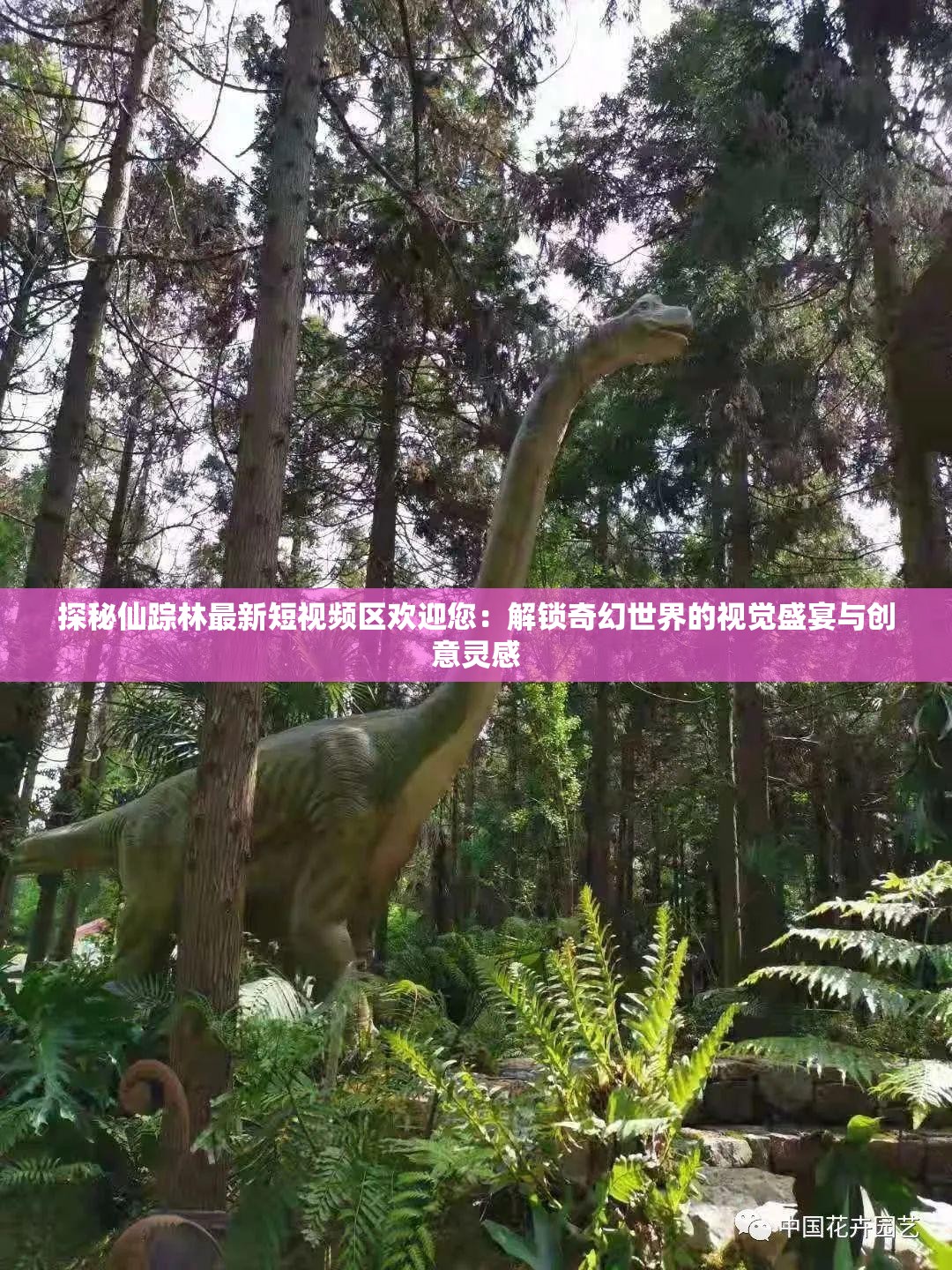 探秘仙踪林最新短视频区欢迎您：解锁奇幻世界的视觉盛宴与创意灵感