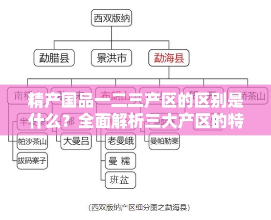 精产国品一二三产区的区别是什么？全面解析三大产区的特点与优势