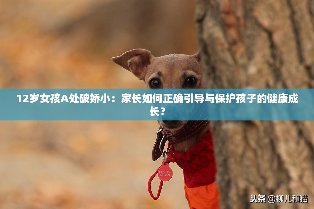 12岁女孩A处破娇小：家长如何正确引导与保护孩子的健康成长？