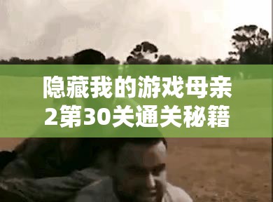 隐藏我的游戏母亲2第30关通关秘籍，深入解析资源管理重要性及实施高效策略