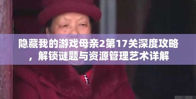 隐藏我的游戏母亲2第17关深度攻略，解锁谜题与资源管理艺术详解