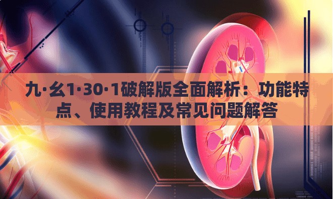 九·幺1·30·1破解版全面解析：功能特点、使用教程及常见问题解答