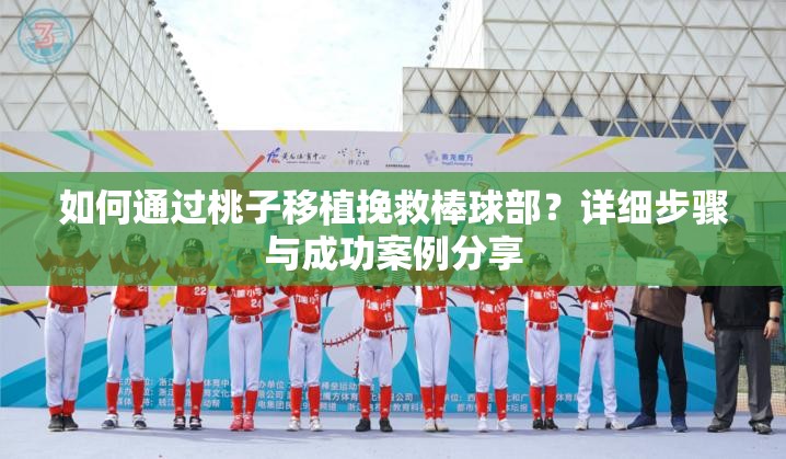 如何通过桃子移植挽救棒球部？详细步骤与成功案例分享