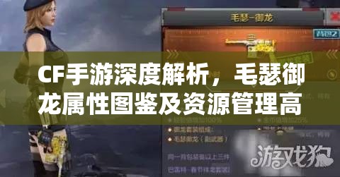 CF手游深度解析，毛瑟御龙属性图鉴及资源管理高效策略