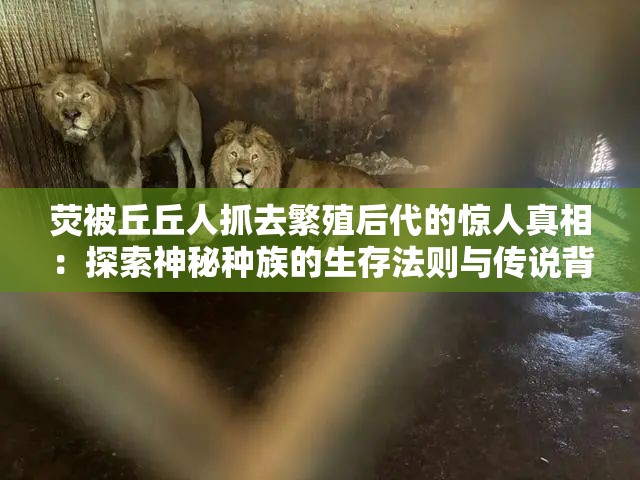 荧被丘丘人抓去繁殖后代的惊人真相：探索神秘种族的生存法则与传说背后的故事