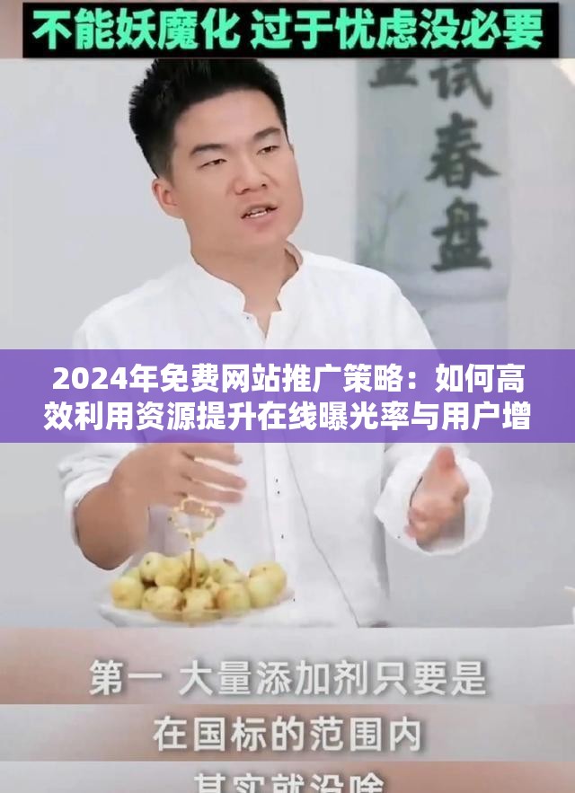 2024年免费网站推广策略：如何高效利用资源提升在线曝光率与用户增长