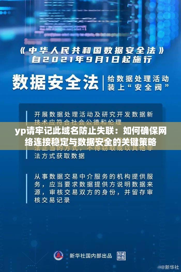 yp请牢记此域名防止失联：如何确保网络连接稳定与数据安全的关键策略