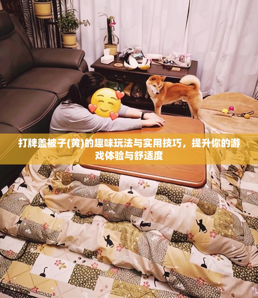 打牌盖被子(黄)的趣味玩法与实用技巧，提升你的游戏体验与舒适度