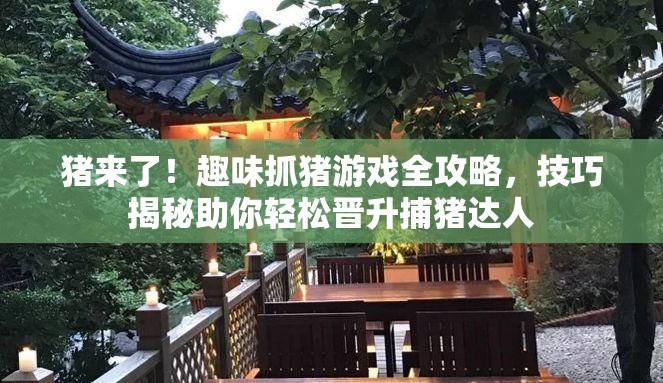 猪来了！趣味抓猪游戏全攻略，技巧揭秘助你轻松晋升捕猪达人
