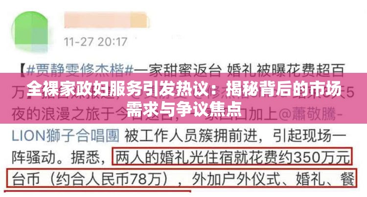 全裸家政妇服务引发热议：揭秘背后的市场需求与争议焦点