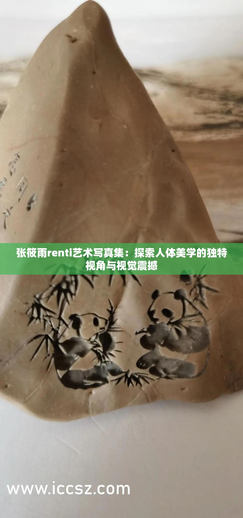 张筱雨renti艺术写真集：探索人体美学的独特视角与视觉震撼