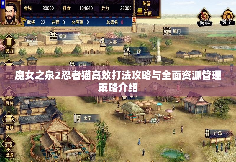 魔女之泉2忍者猫高效打法攻略与全面资源管理策略介绍