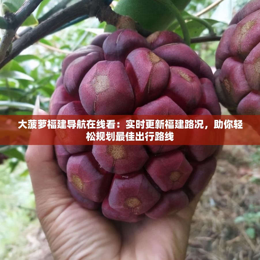 大菠萝福建导航在线看：实时更新福建路况，助你轻松规划最佳出行路线