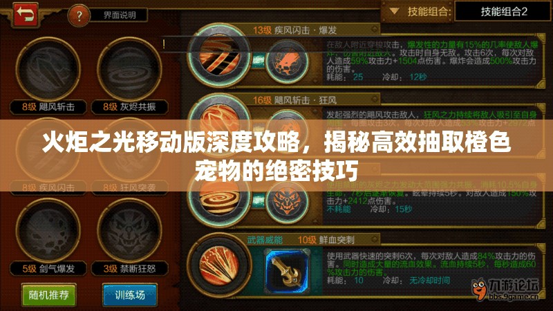 火炬之光移动版深度攻略，揭秘高效抽取橙色宠物的绝密技巧