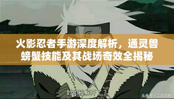 火影忍者手游深度解析，通灵兽螃蟹技能及其战场奇效全揭秘