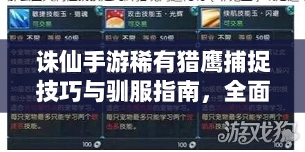 诛仙手游稀有猎鹰捕捉技巧与驯服指南，全面掌握助你翱翔天际