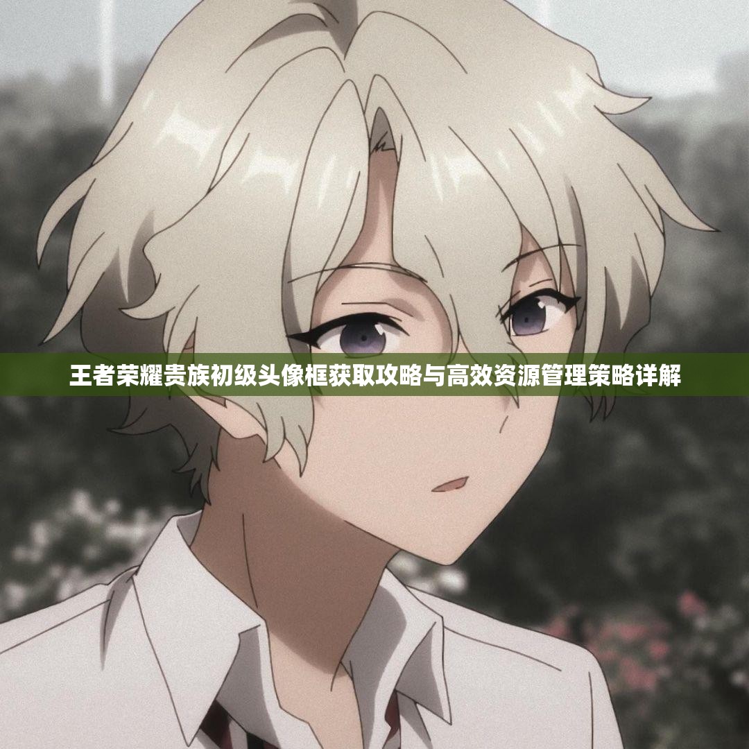 王者荣耀贵族初级头像框获取攻略与高效资源管理策略详解