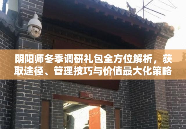 阴阳师冬季调研礼包全方位解析，获取途径、管理技巧与价值最大化策略