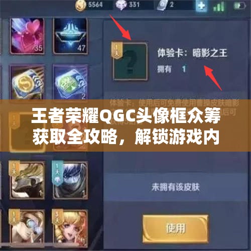 王者荣耀QGC头像框众筹获取全攻略，解锁游戏内稀有荣耀身份象征