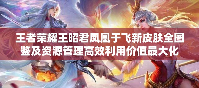王者荣耀王昭君凤凰于飞新皮肤全图鉴及资源管理高效利用价值最大化攻略