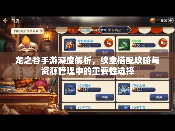 龙之谷手游深度解析，纹章搭配攻略与资源管理中的重要性选择