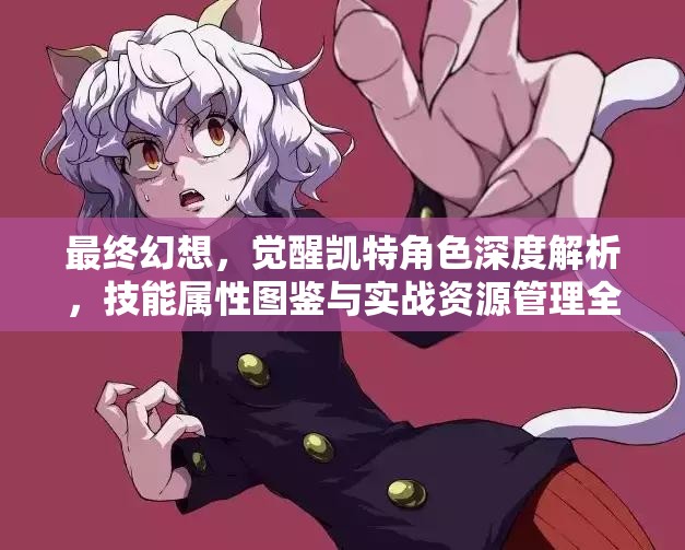 最终幻想，觉醒凯特角色深度解析，技能属性图鉴与实战资源管理全攻略