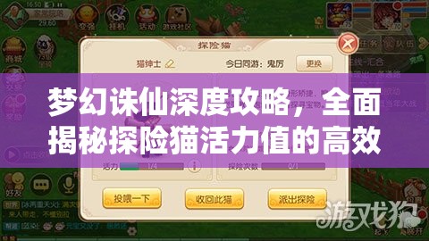 梦幻诛仙深度攻略，全面揭秘探险猫活力值的高效获取秘籍