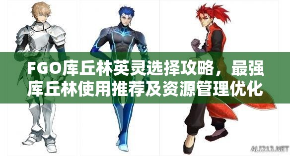 FGO库丘林英灵选择攻略，最强库丘林使用推荐及资源管理优化策略