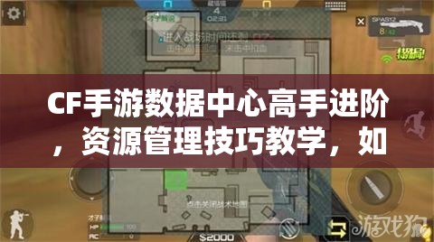 CF手游数据中心高手进阶，资源管理技巧教学，如何成为顶尖玩家？