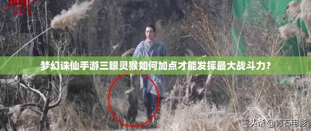 梦幻诛仙手游三眼灵猴如何加点才能发挥最大战斗力？