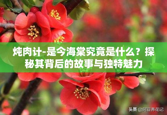 炖肉计-是今海棠究竟是什么？探秘其背后的故事与独特魅力