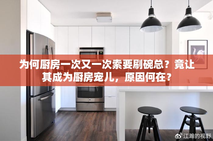 为何厨房一次又一次索要刷碗总？竟让其成为厨房宠儿，原因何在？