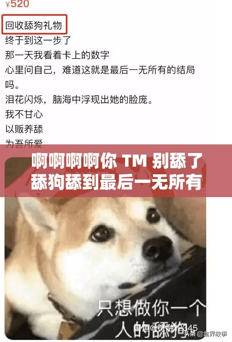 啊啊啊啊你 TM 别舔了舔狗舔到最后一无所有，这句话真的对吗？
