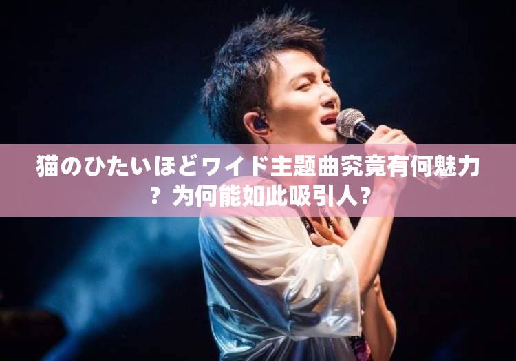 猫のひたいほどワイド主题曲究竟有何魅力？为何能如此吸引人？