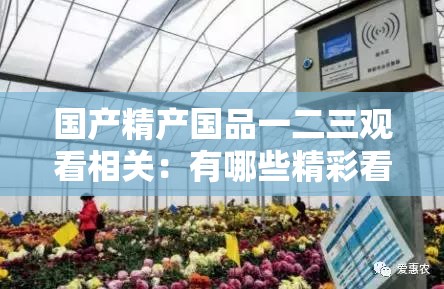 国产精产国品一二三观看相关：有哪些精彩看点值得关注？如何评价其内容？