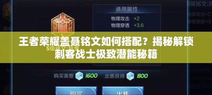 王者荣耀盖聂铭文如何搭配？揭秘解锁刺客战士极致潜能秘籍