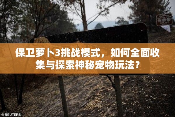 保卫萝卜3挑战模式，如何全面收集与探索神秘宠物玩法？