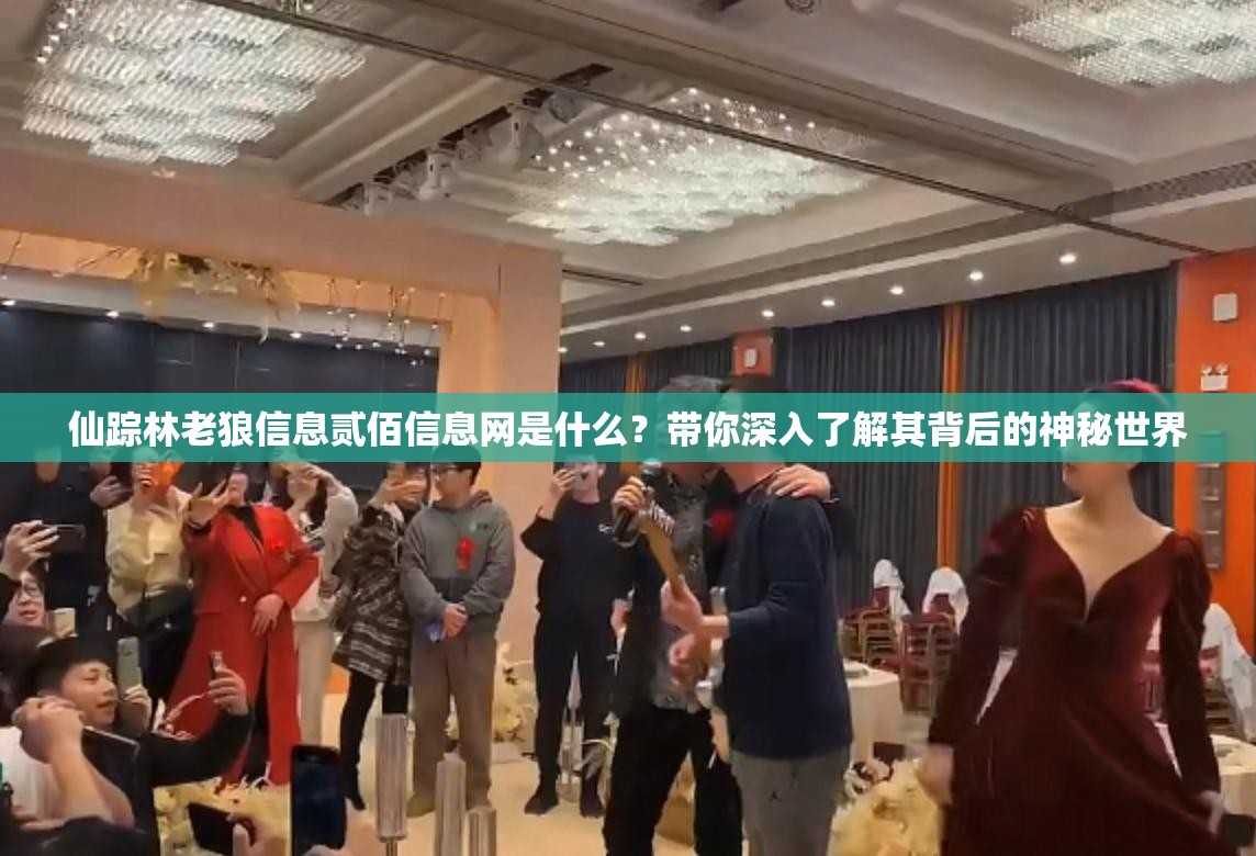 仙踪林老狼信息贰佰信息网是什么？带你深入了解其背后的神秘世界